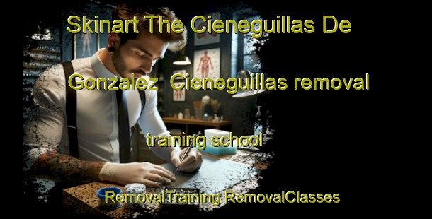 Skinart The Cieneguillas De Gonzalez  Cieneguillas removal training school | #RemovalTraining #RemovalClasses #SkinartTraining-Mexico