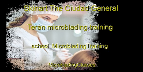 Skinart The Ciudad General Teran microblading training school | #MicrobladingTraining #MicrobladingClasses #SkinartTraining-Mexico