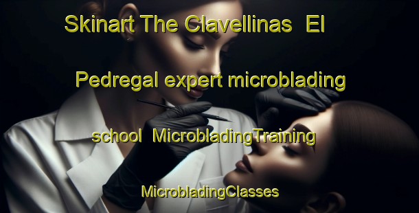 Skinart The Clavellinas  El Pedregal expert microblading school | #MicrobladingTraining #MicrobladingClasses #SkinartTraining-Mexico