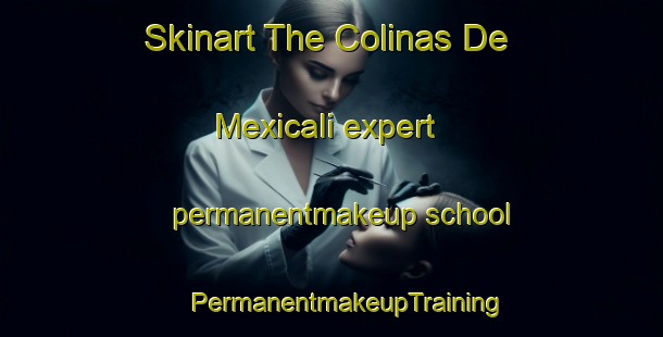 Skinart The Colinas De Mexicali expert permanentmakeup school | #PermanentmakeupTraining #PermanentmakeupClasses #SkinartTraining-Mexico