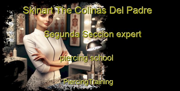 Skinart The Colinas Del Padre Segunda Seccion expert piercing school | #PiercingTraining #PiercingClasses #SkinartTraining-Mexico