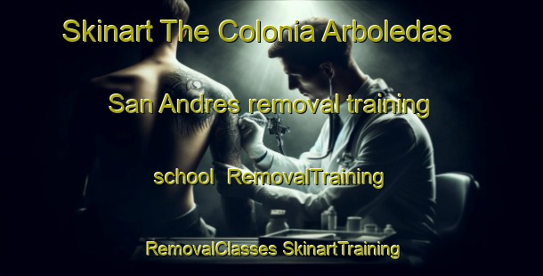 Skinart The Colonia Arboledas  San Andres removal training school | #RemovalTraining #RemovalClasses #SkinartTraining-Mexico