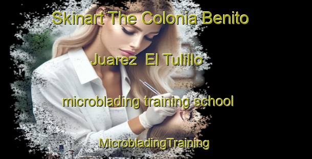 Skinart The Colonia Benito Juarez  El Tulillo microblading training school | #MicrobladingTraining #MicrobladingClasses #SkinartTraining-Mexico