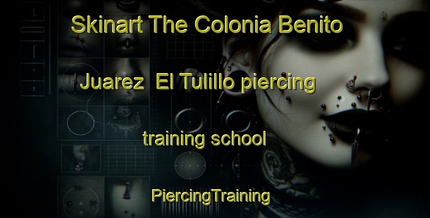 Skinart The Colonia Benito Juarez  El Tulillo piercing training school | #PiercingTraining #PiercingClasses #SkinartTraining-Mexico