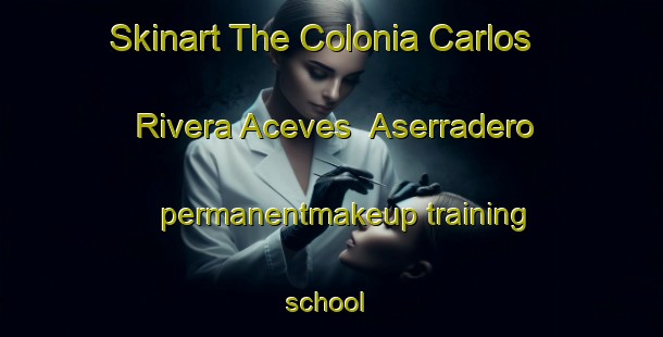 Skinart The Colonia Carlos Rivera Aceves  Aserradero permanentmakeup training school | #PermanentmakeupTraining #PermanentmakeupClasses #SkinartTraining-Mexico