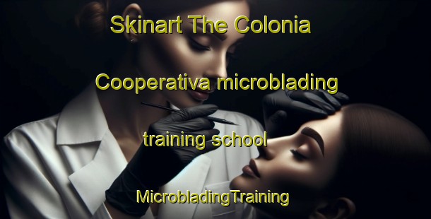 Skinart The Colonia Cooperativa microblading training school | #MicrobladingTraining #MicrobladingClasses #SkinartTraining-Mexico