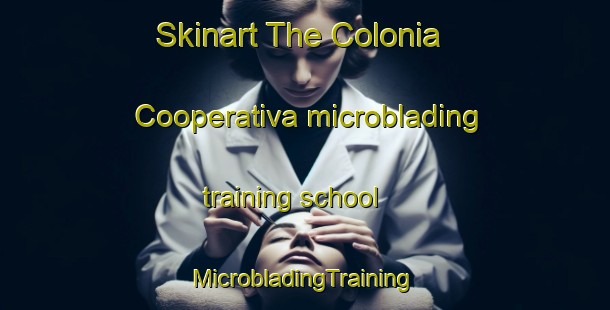 Skinart The Colonia Cooperativa microblading training school | #MicrobladingTraining #MicrobladingClasses #SkinartTraining-Mexico