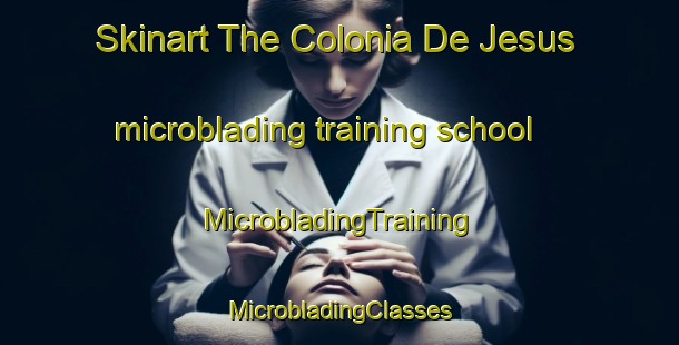 Skinart The Colonia De Jesus microblading training school | #MicrobladingTraining #MicrobladingClasses #SkinartTraining-Mexico