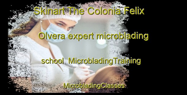 Skinart The Colonia Felix Olvera expert microblading school | #MicrobladingTraining #MicrobladingClasses #SkinartTraining-Mexico