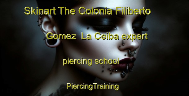 Skinart The Colonia Filiberto Gomez  La Ceiba expert piercing school | #PiercingTraining #PiercingClasses #SkinartTraining-Mexico