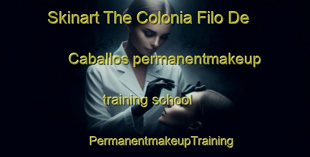 Skinart The Colonia Filo De Caballos permanentmakeup training school | #PermanentmakeupTraining #PermanentmakeupClasses #SkinartTraining-Mexico