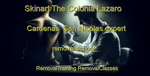 Skinart The Colonia Lazaro Cardenas  San Nicolas expert removal school | #RemovalTraining #RemovalClasses #SkinartTraining-Mexico