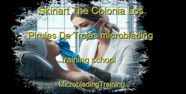 Skinart The Colonia Los Pirules De Trojes microblading training school | #MicrobladingTraining #MicrobladingClasses #SkinartTraining-Mexico