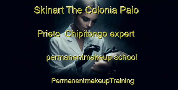 Skinart The Colonia Palo Prieto  Chipitongo expert permanentmakeup school | #PermanentmakeupTraining #PermanentmakeupClasses #SkinartTraining-Mexico