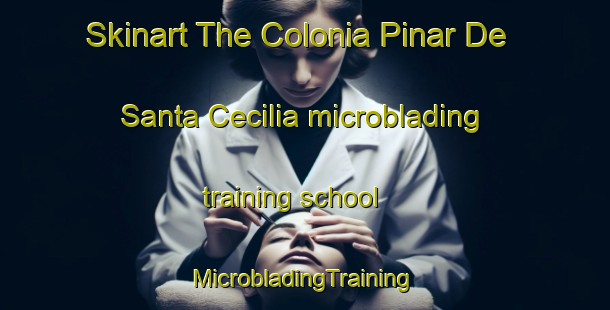 Skinart The Colonia Pinar De Santa Cecilia microblading training school | #MicrobladingTraining #MicrobladingClasses #SkinartTraining-Mexico