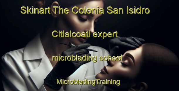 Skinart The Colonia San Isidro Citlalcoatl expert microblading school | #MicrobladingTraining #MicrobladingClasses #SkinartTraining-Mexico