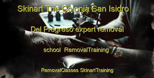 Skinart The Colonia San Isidro Del Progreso expert removal school | #RemovalTraining #RemovalClasses #SkinartTraining-Mexico