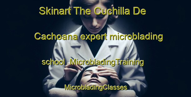 Skinart The Cuchilla De Cachoana expert microblading school | #MicrobladingTraining #MicrobladingClasses #SkinartTraining-Mexico