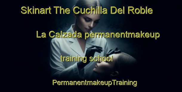 Skinart The Cuchilla Del Roble  La Calzada permanentmakeup training school | #PermanentmakeupTraining #PermanentmakeupClasses #SkinartTraining-Mexico