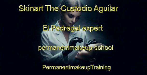 Skinart The Custodio Aguilar  El Pedregal expert permanentmakeup school | #PermanentmakeupTraining #PermanentmakeupClasses #SkinartTraining-Mexico