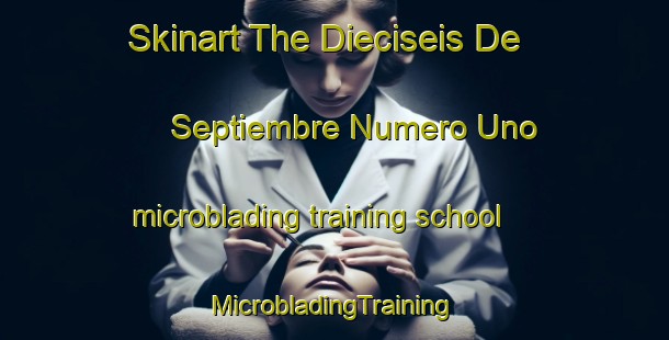 Skinart The Dieciseis De Septiembre Numero Uno microblading training school | #MicrobladingTraining #MicrobladingClasses #SkinartTraining-Mexico