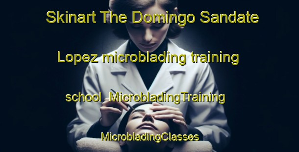 Skinart The Domingo Sandate Lopez microblading training school | #MicrobladingTraining #MicrobladingClasses #SkinartTraining-Mexico