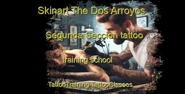 Skinart The Dos Arroyos Segunda Seccion tattoo training school | #TattooTraining #TattooClasses #SkinartTraining-Mexico