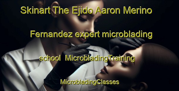 Skinart The Ejido Aaron Merino Fernandez expert microblading school | #MicrobladingTraining #MicrobladingClasses #SkinartTraining-Mexico