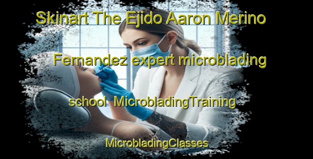 Skinart The Ejido Aaron Merino Fernandez expert microblading school | #MicrobladingTraining #MicrobladingClasses #SkinartTraining-Mexico