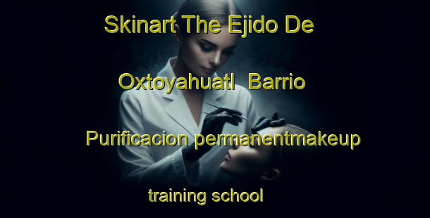 Skinart The Ejido De Oxtoyahuatl  Barrio Purificacion permanentmakeup training school | #PermanentmakeupTraining #PermanentmakeupClasses #SkinartTraining-Mexico