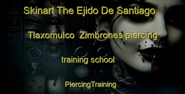 Skinart The Ejido De Santiago Tlaxomulco  Zimbrones piercing training school | #PiercingTraining #PiercingClasses #SkinartTraining-Mexico