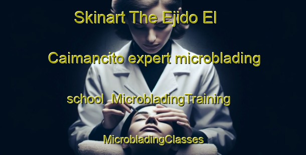 Skinart The Ejido El Caimancito expert microblading school | #MicrobladingTraining #MicrobladingClasses #SkinartTraining-Mexico