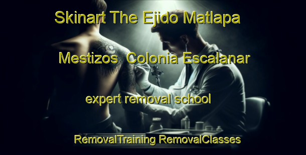 Skinart The Ejido Matlapa Mestizos  Colonia Escalanar expert removal school | #RemovalTraining #RemovalClasses #SkinartTraining-Mexico