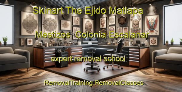 Skinart The Ejido Matlapa Mestizos  Colonia Escalanar expert removal school | #RemovalTraining #RemovalClasses #SkinartTraining-Mexico