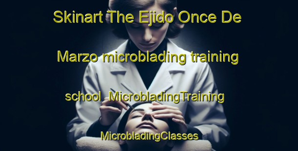 Skinart The Ejido Once De Marzo microblading training school | #MicrobladingTraining #MicrobladingClasses #SkinartTraining-Mexico