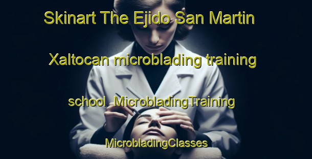 Skinart The Ejido San Martin Xaltocan microblading training school | #MicrobladingTraining #MicrobladingClasses #SkinartTraining-Mexico