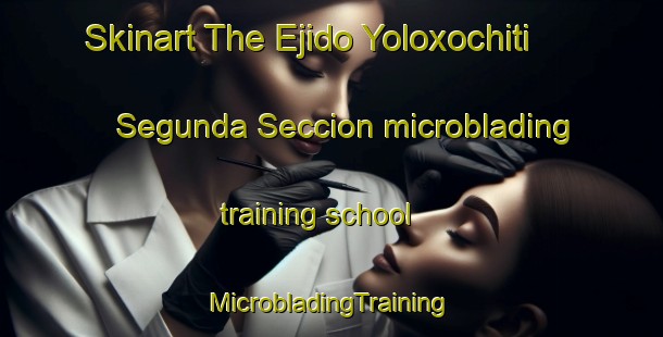 Skinart The Ejido Yoloxochiti Segunda Seccion microblading training school | #MicrobladingTraining #MicrobladingClasses #SkinartTraining-Mexico