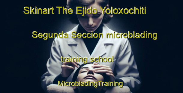 Skinart The Ejido Yoloxochiti Segunda Seccion microblading training school | #MicrobladingTraining #MicrobladingClasses #SkinartTraining-Mexico