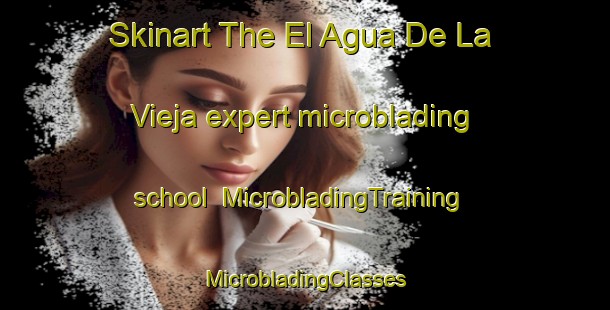 Skinart The El Agua De La Vieja expert microblading school | #MicrobladingTraining #MicrobladingClasses #SkinartTraining-Mexico