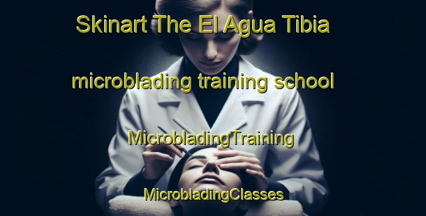 Skinart The El Agua Tibia microblading training school | #MicrobladingTraining #MicrobladingClasses #SkinartTraining-Mexico