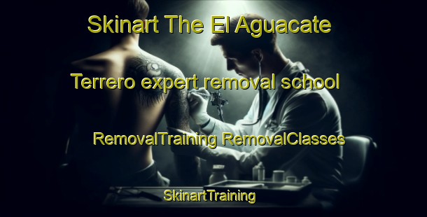 Skinart The El Aguacate Terrero expert removal school | #RemovalTraining #RemovalClasses #SkinartTraining-Mexico