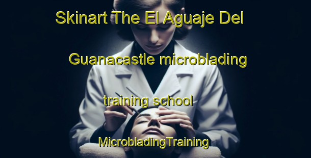 Skinart The El Aguaje Del Guanacastle microblading training school | #MicrobladingTraining #MicrobladingClasses #SkinartTraining-Mexico