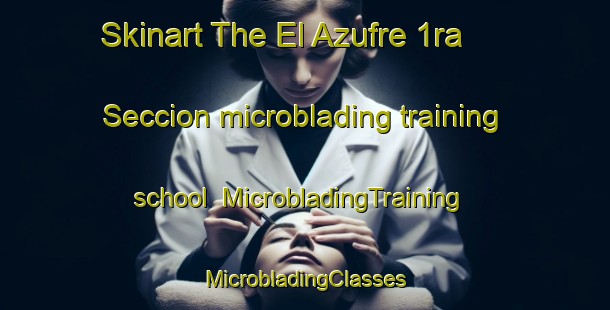 Skinart The El Azufre 1ra  Seccion microblading training school | #MicrobladingTraining #MicrobladingClasses #SkinartTraining-Mexico