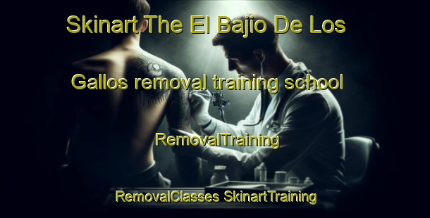 Skinart The El Bajio De Los Gallos removal training school | #RemovalTraining #RemovalClasses #SkinartTraining-Mexico