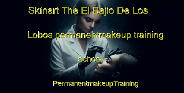 Skinart The El Bajio De Los Lobos permanentmakeup training school | #PermanentmakeupTraining #PermanentmakeupClasses #SkinartTraining-Mexico