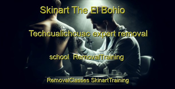 Skinart The El Bohio  Techcualichcuac expert removal school | #RemovalTraining #RemovalClasses #SkinartTraining-Mexico