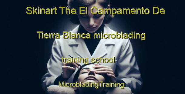 Skinart The El Campamento De Tierra Blanca microblading training school | #MicrobladingTraining #MicrobladingClasses #SkinartTraining-Mexico