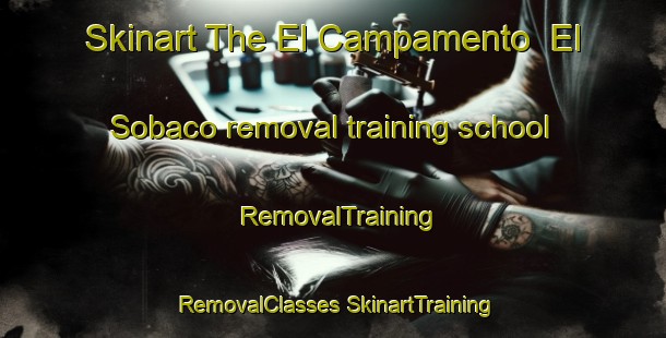 Skinart The El Campamento  El Sobaco removal training school | #RemovalTraining #RemovalClasses #SkinartTraining-Mexico