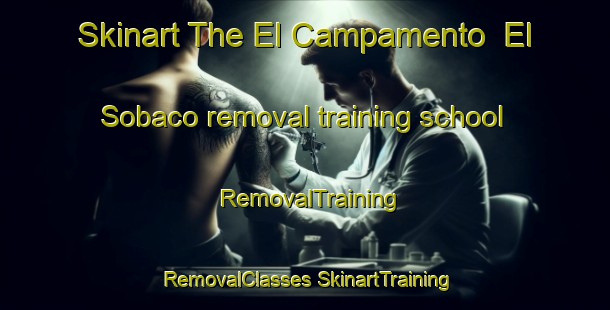 Skinart The El Campamento  El Sobaco removal training school | #RemovalTraining #RemovalClasses #SkinartTraining-Mexico