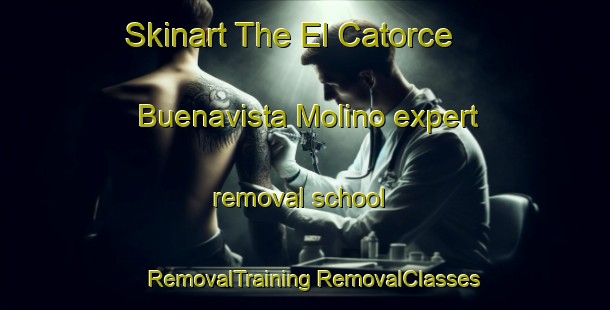 Skinart The El Catorce  Buenavista Molino expert removal school | #RemovalTraining #RemovalClasses #SkinartTraining-Mexico